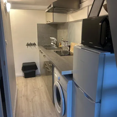 Apartment Entierement Renove Donnant Sur Jardin Arbore Dans Le Calme Absolu Paris