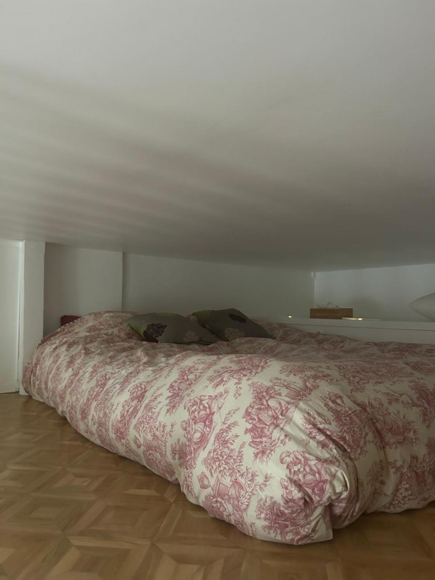 Entierement Renove Donnant Sur Jardin Arbore Dans Le Calme Absolu Apartment *